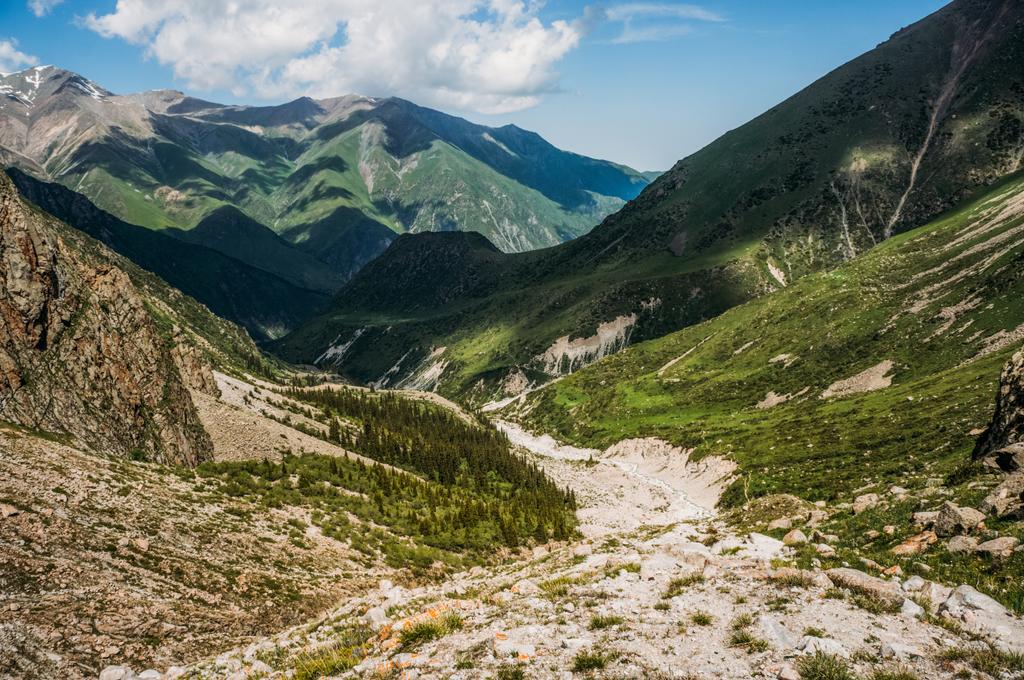 Stezka prochází louka a kopce na pozadí, Ala Archa národního parku, Kyrgyzstán - Fotografie, Obrázek