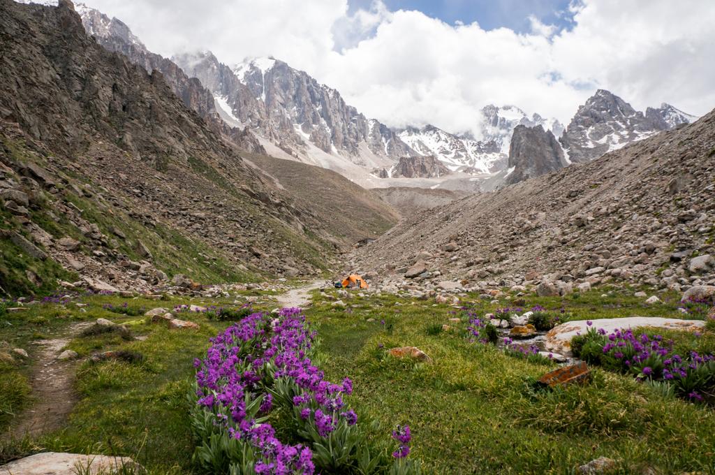 view of meadow with stones and flowers against footpath on foot of rocks, Ala Archa National Park, Kyrgyzstan - Photo, Image