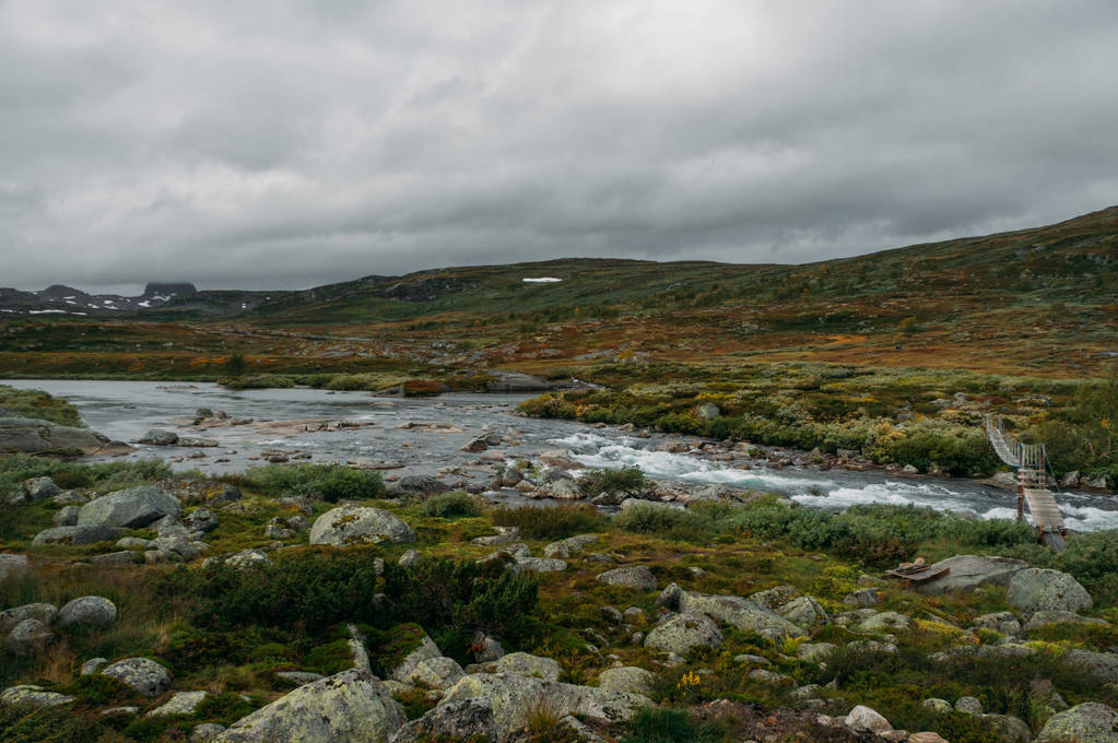 フィールド、ノルウェー、ハルダンゲル高原国立公園に石や丘を通って行く川ストリーム - 写真・画像