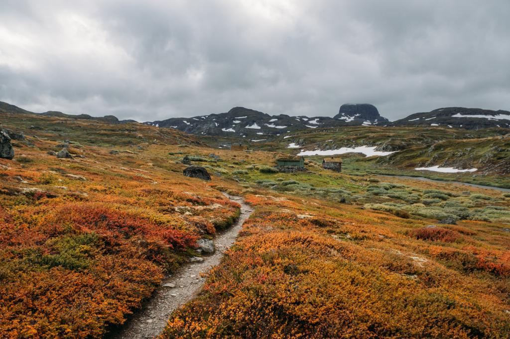 Hardangervidda - Foto, afbeelding