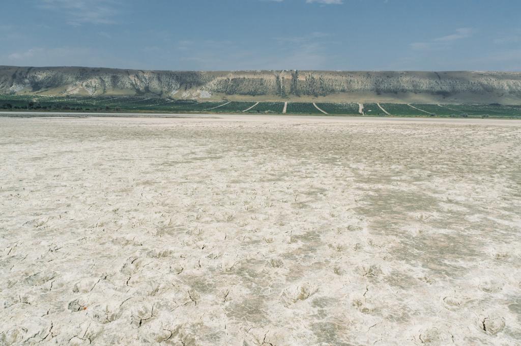 Почва с трещинами в горной местности Крыма, Украина, май 2013 г.
 - Фото, изображение
