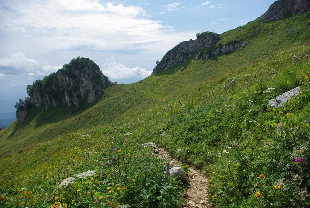 vue sur sentier et vallée, Fédération de Russie, Caucase, juillet 2012
 - Photo, image