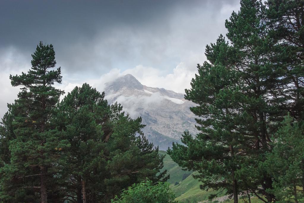 kaunis luonnonkaunis näkymä puille vuorilla, Kaukasus, Venäjä
 - Valokuva, kuva