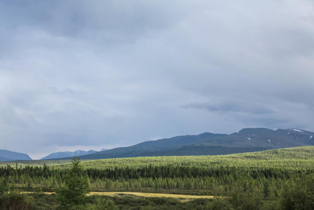 doğal görünümünü bulutlu gökyüzü, dağ ve orman, Altay, Rusya Federasyonu - Fotoğraf, Görsel