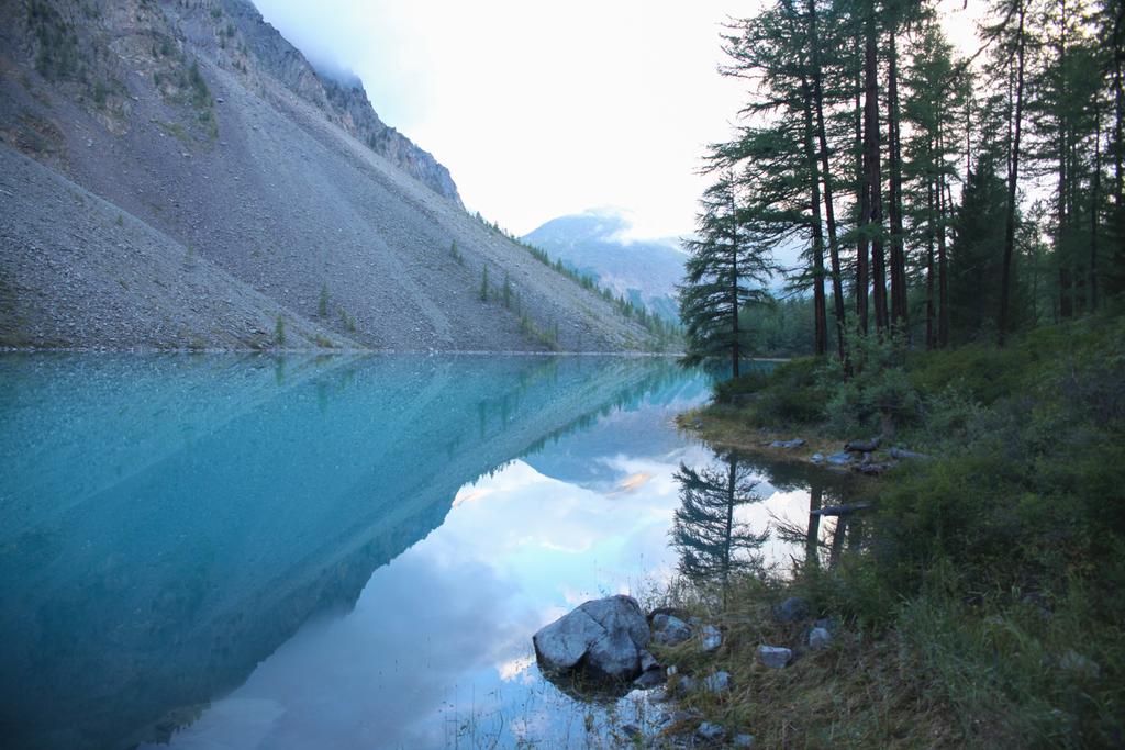 lago claro, árboles y montañas en Altai, Rusia
 - Foto, Imagen