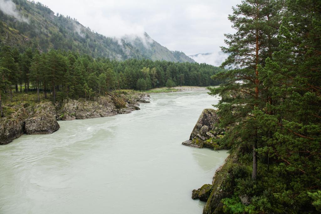 río de montaña en valle y montañas majestuosas, Altai, Rusia
 - Foto, imagen