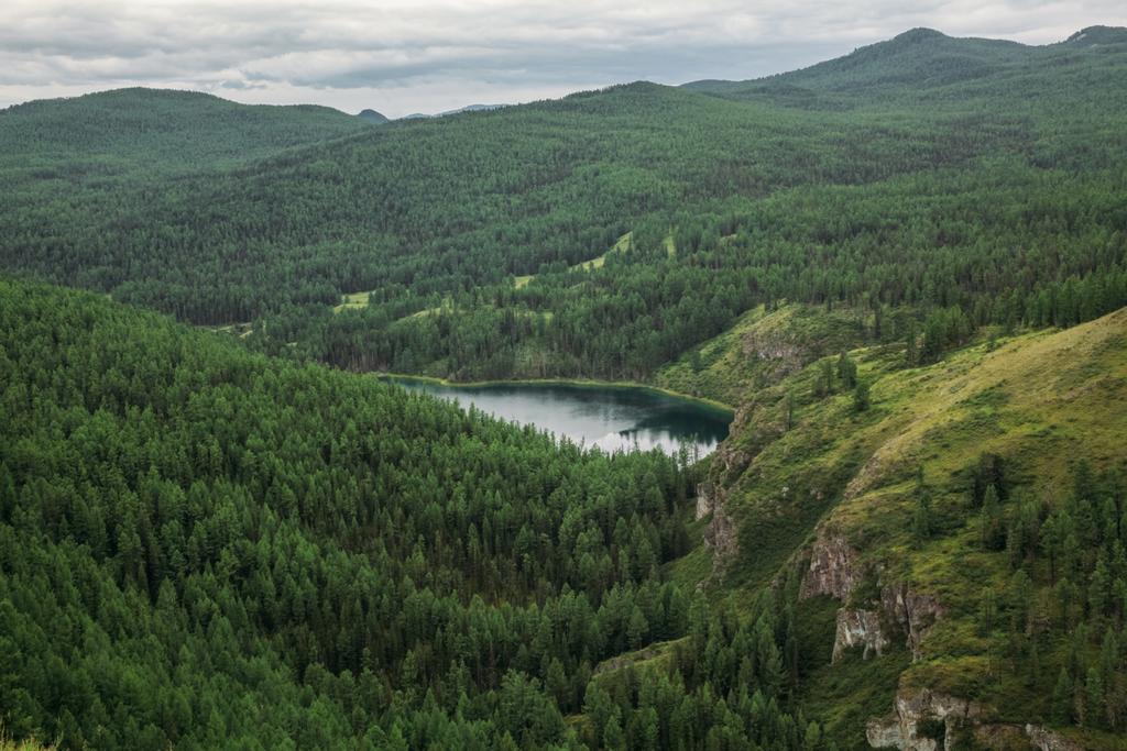 majestuosas montañas cubiertas de árboles y lago de montaña en Altai, Rusia
 - Foto, imagen