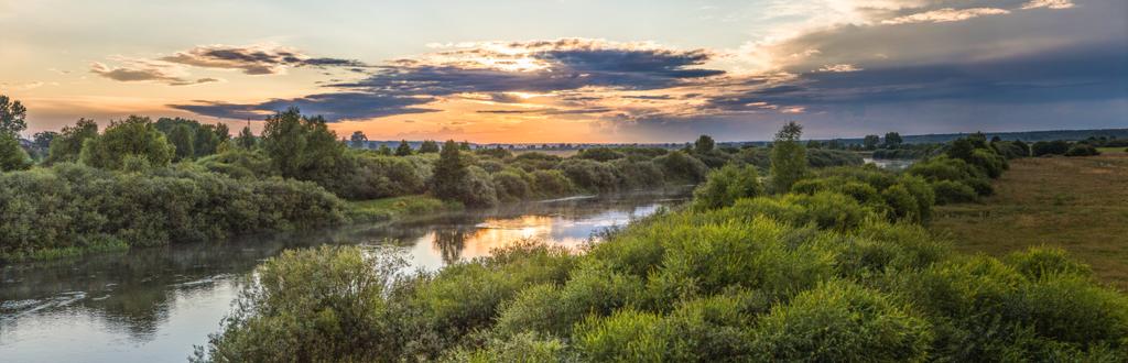 Sakin nehir ve gündoğumu, neman, Beyaz Rusya, yeşil bitki örtüsü ile doğal peyzaj - Fotoğraf, Görsel
