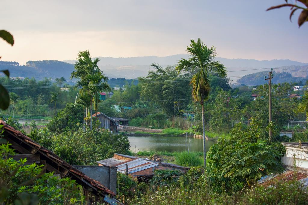красивые зеленые тропические растения и крыши с горами позади, Вьетнам, Далат области
 - Фото, изображение