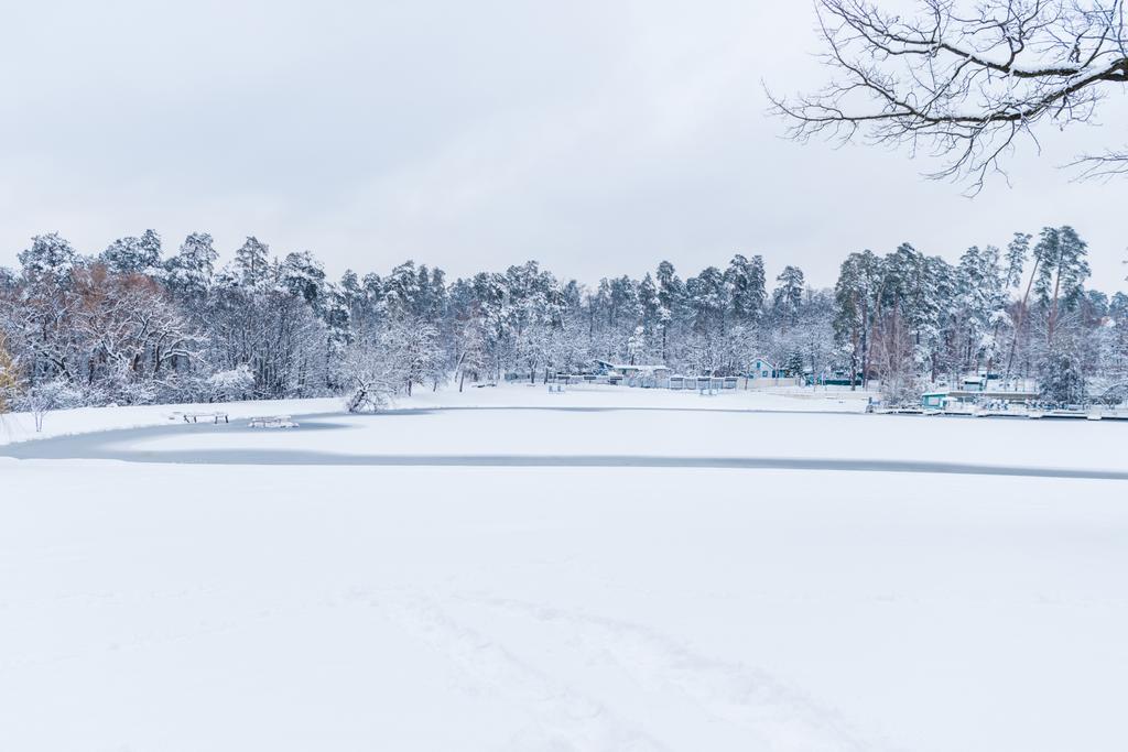 όμορφο τοπίο με παγωμένη λίμνη και χιονισμένες δέντρα στο χειμερινό πάρκο - Φωτογραφία, εικόνα