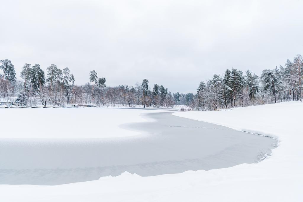 vista panoramica di alberi innevati e lago ghiacciato nel parco invernale
 - Foto, immagini