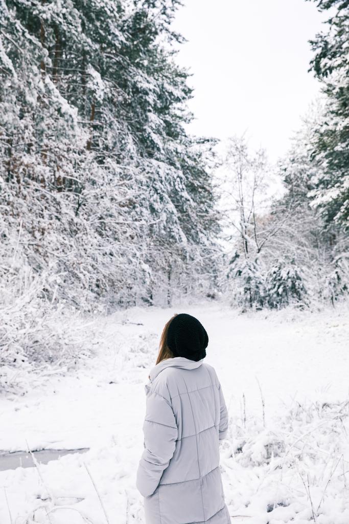 πίσω όψη του γυναίκα που περπατά στο χιονισμένο δάσος - Φωτογραφία, εικόνα
