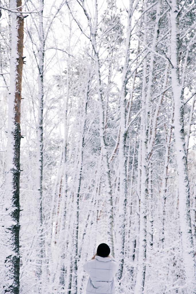 πίσω όψη από το περπάτημα στο χιονισμένο δάσος κορίτσι - Φωτογραφία, εικόνα
