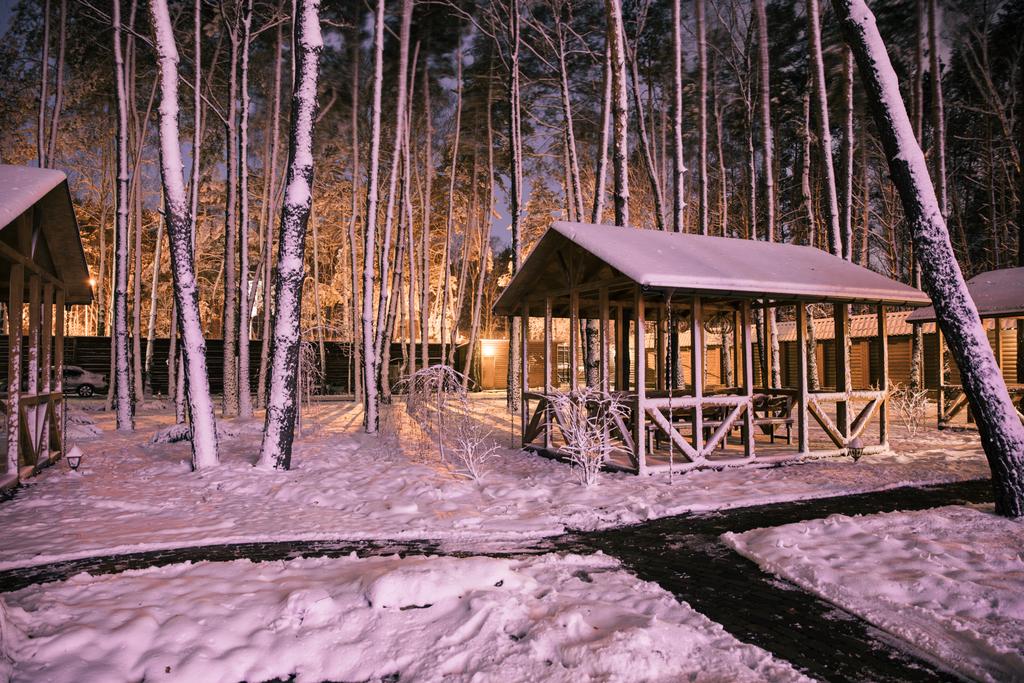 territory of wooden cottage in snowy forest in evening - Photo, Image