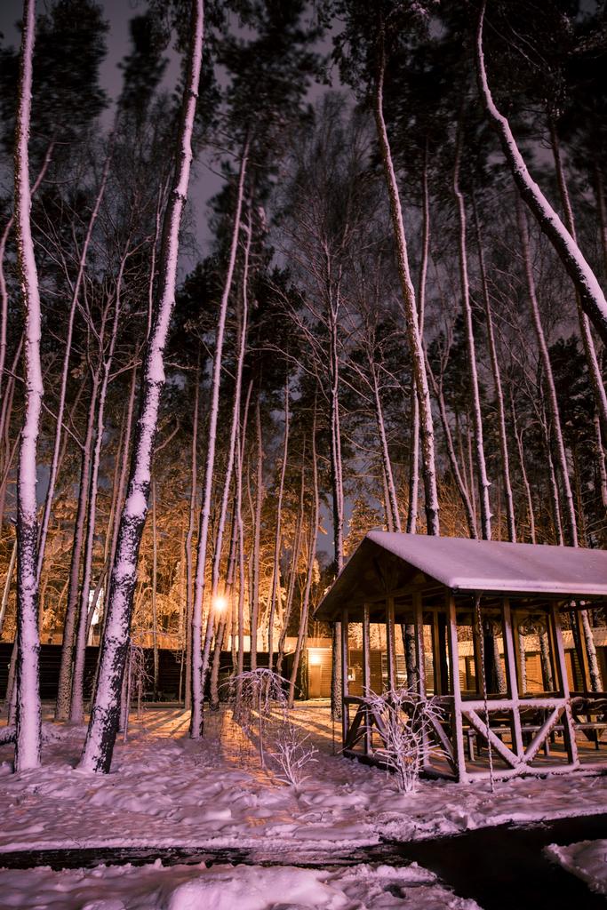 casa de campo de madeira na floresta nevada à noite
 - Foto, Imagem