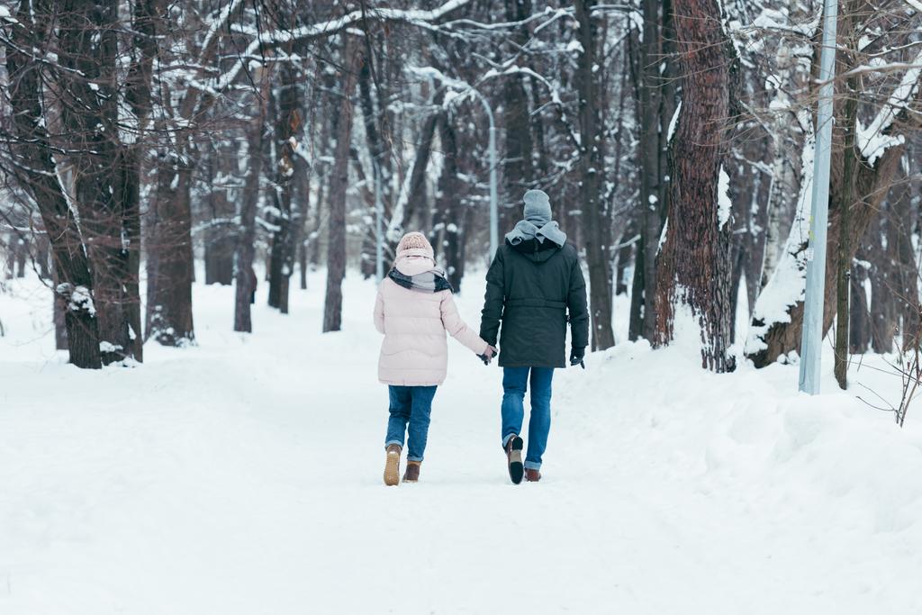 πίσω όψη του ζευγάρι κρατώντας τα χέρια και το περπάτημα στο χειμερινό πάρκο - Φωτογραφία, εικόνα
