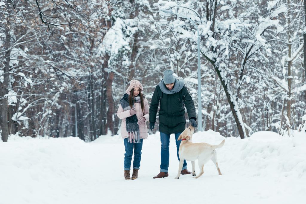 jovem casal se divertindo junto com o cão no parque de inverno
 - Foto, Imagem