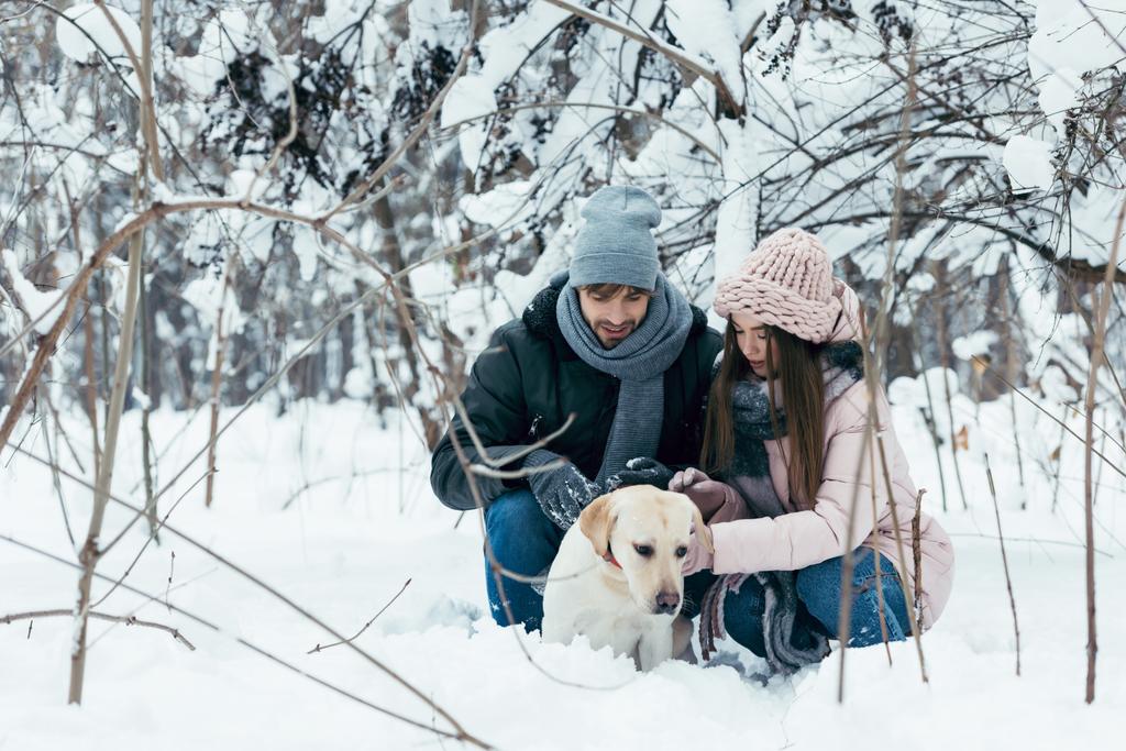 nuori pari hauskaa yhdessä koiran kanssa talvipuistossa
 - Valokuva, kuva