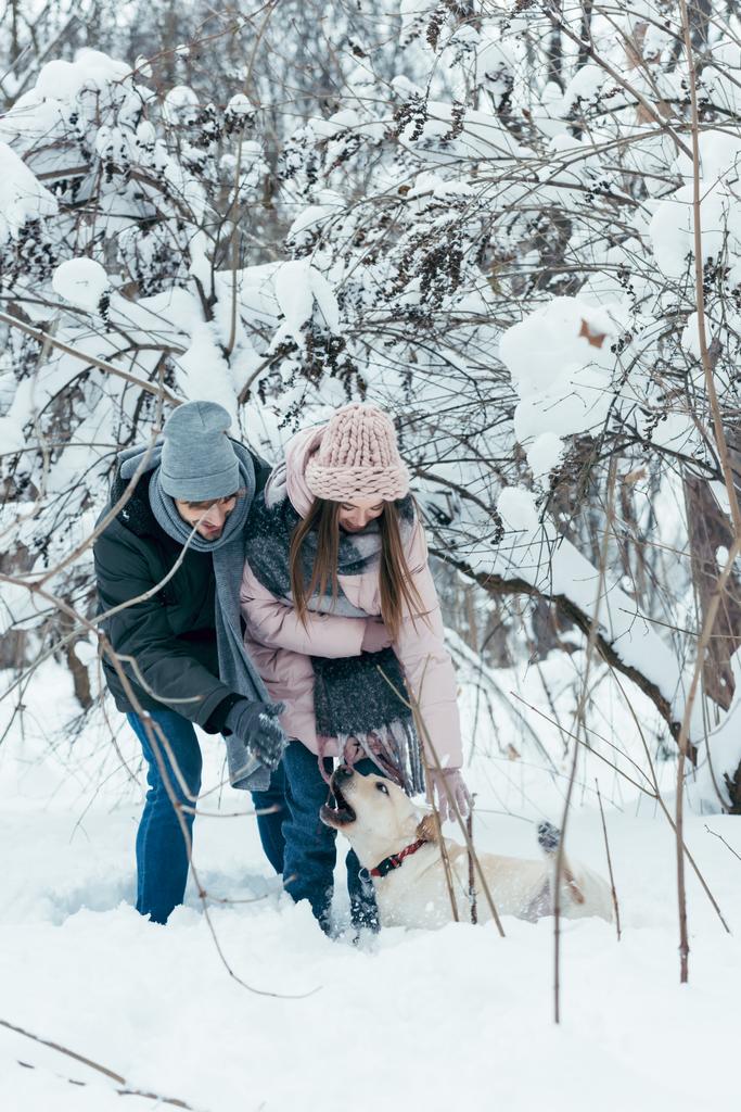 young couple having fun together with dog in winter park - Photo, Image