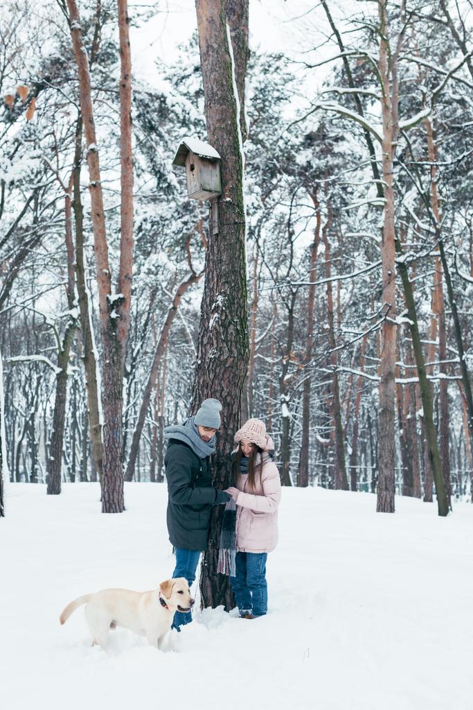 young couple with dog walking in winter snowy park - Photo, Image