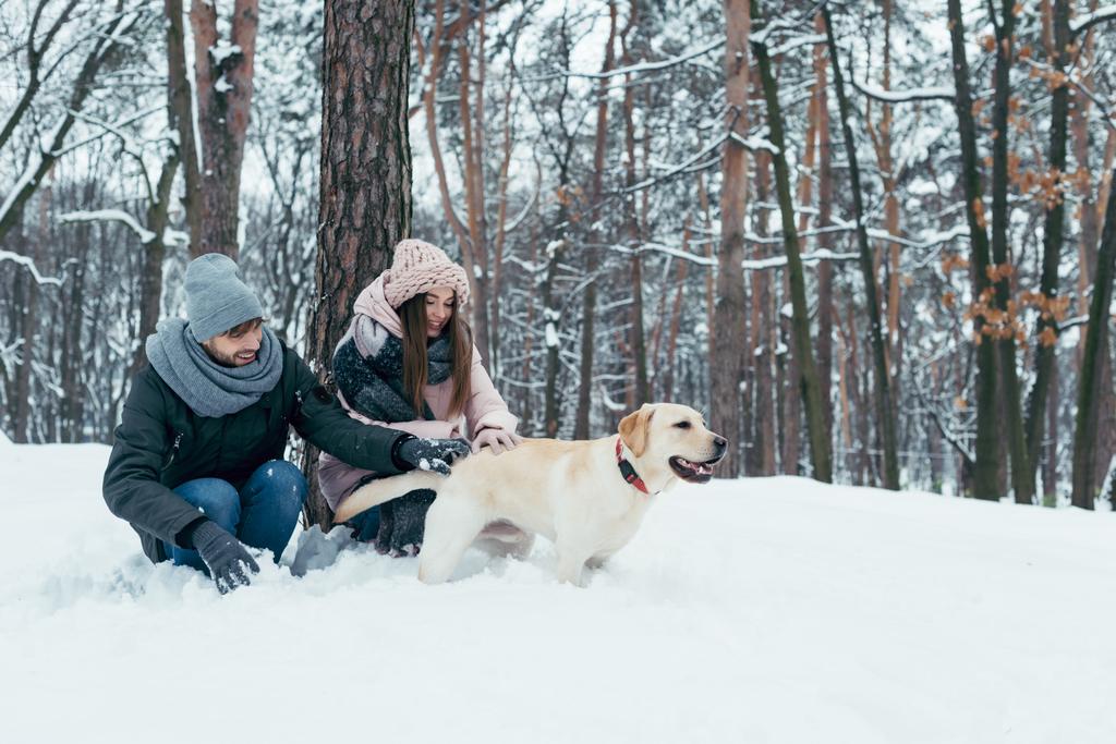 Genç çift köpek kış Park ile birlikte eğleniyor - Fotoğraf, Görsel