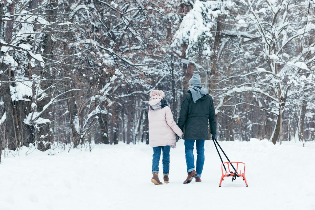 вид сзади пары с санями, держащихся за руки во время прогулки по снежному парку
 - Фото, изображение