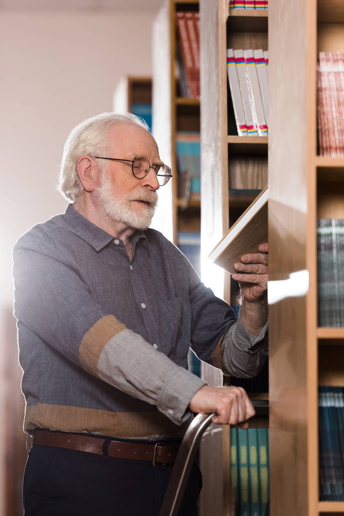 bibliotecario pelo gris mirando el libro en la mano
 - Foto, Imagen