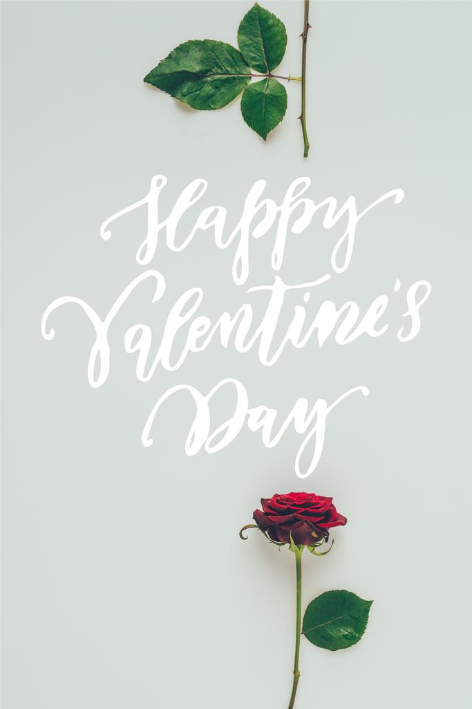 Top View van Red Rose delen met tekst Happy Valentines Day geïsoleerd op wit - Foto, afbeelding