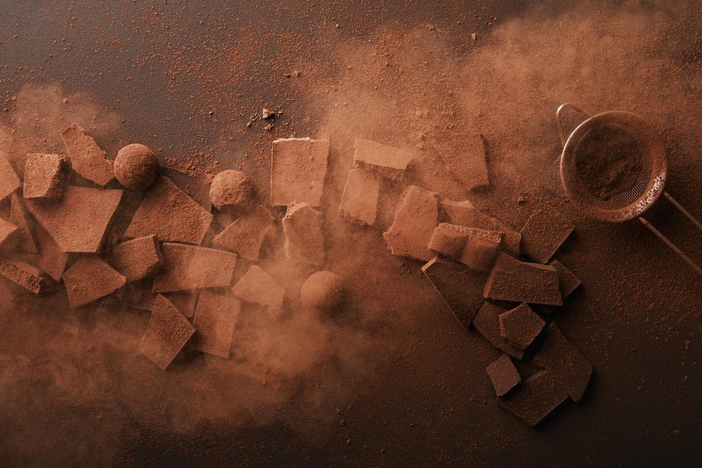 vista superior de arranjo de vários tipos de chocolate, trufas e peneira com cacau em pó
 - Foto, Imagem