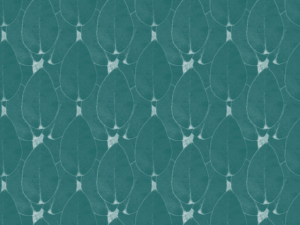 fondo patrón con hojas de árbol floral de color turquesa
 - Foto, imagen