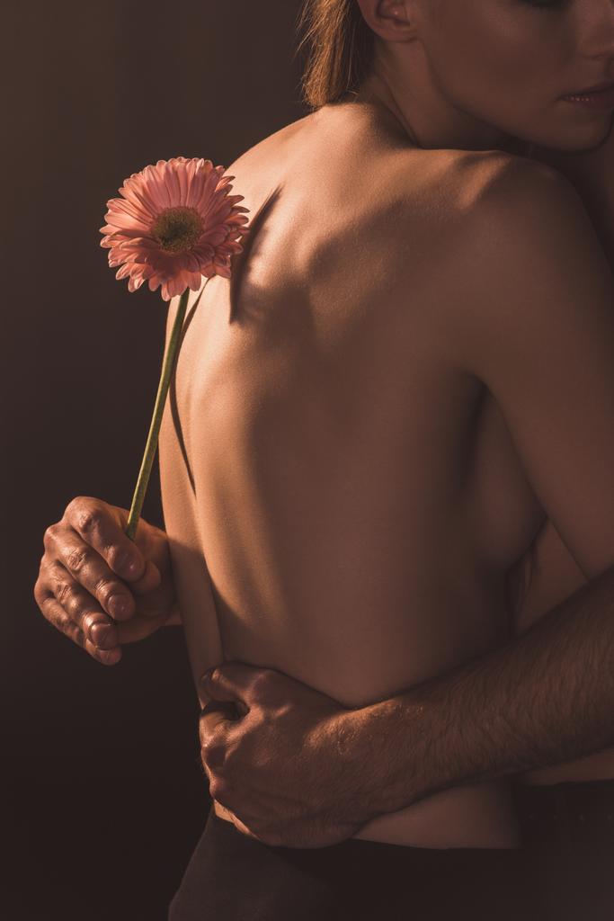 abgeschnittene Ansicht von zarten Liebhabern, die Gerbera-Blume umarmen und halten, isoliert auf braun  - Foto, Bild
