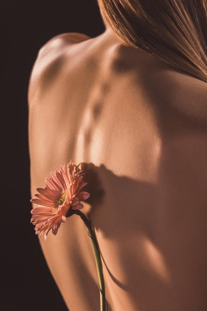 back view of naked girl with gerbera flower, isolated on brown  - Photo, Image