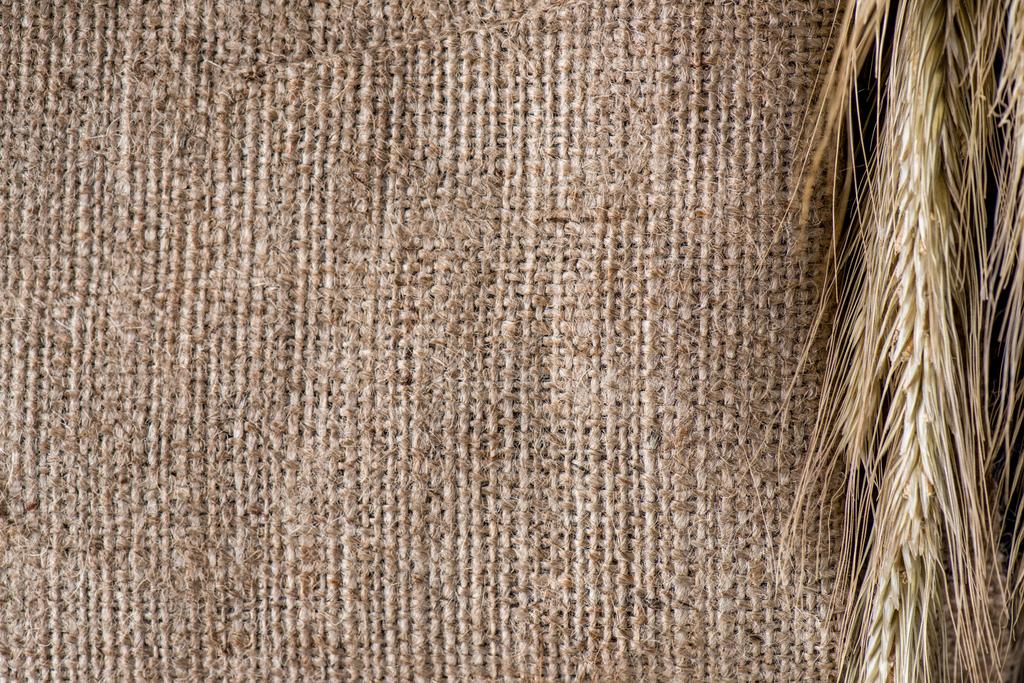 Крупный план пшеницы на фоне мешковины
 - Фото, изображение