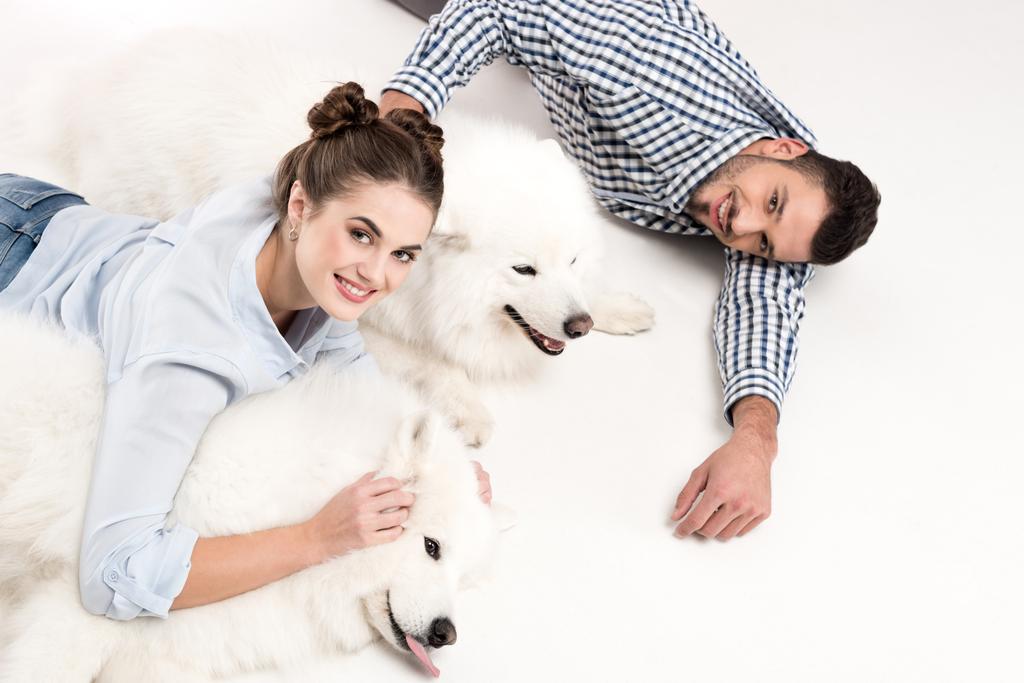 overhead view of couple lying with dogs on white - Photo, Image