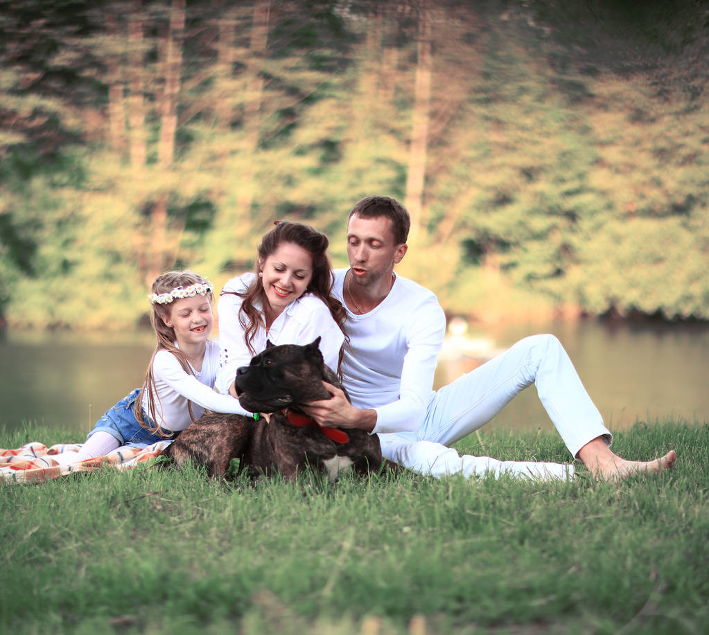 onnellinen perhe lemmikkikoiran kanssa piknikillä aurinkoisena kesäpäivänä. pregn - Valokuva, kuva