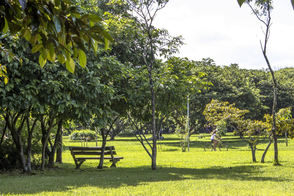 Sao Paulo, Brazílie, leden 20, 2012, lidé v parku Villa Lobos. Park je dobrým místem pro pěší, cykloturistiku a oáza pro bruslaře. - Fotografie, Obrázek