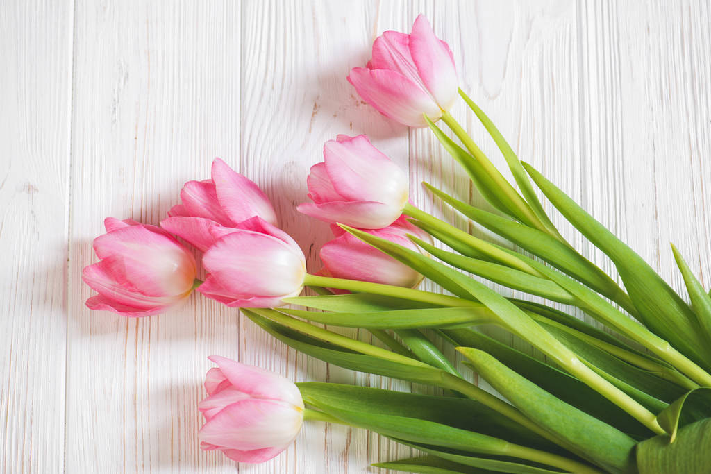 Rózsaszín tulipán virág, fa háttér - Fotó, kép