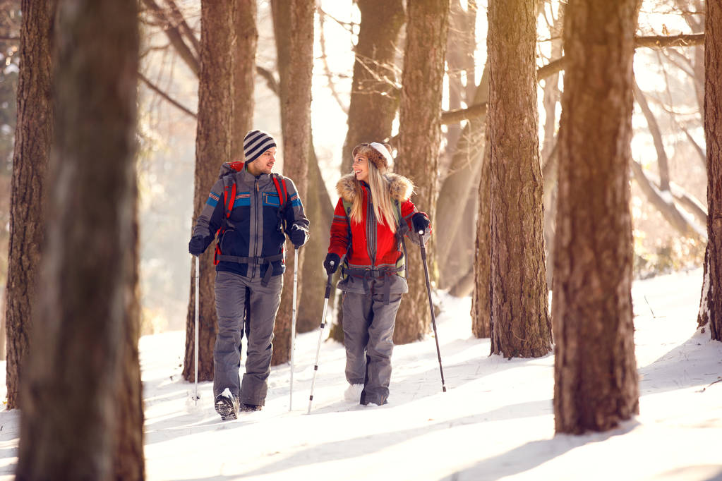 Caminhantes na floresta no inverno
 - Foto, Imagem