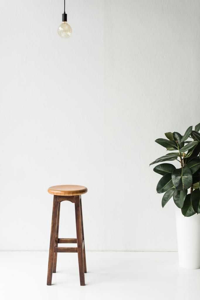 wooden chair, lamp and potted plant on white - Photo, Image