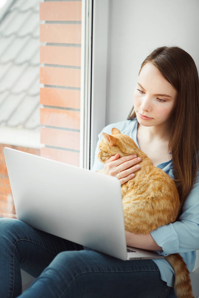 Mujer reflexiva leer información sobre portátil sosteniendo gato coño rojo
 - Foto, imagen