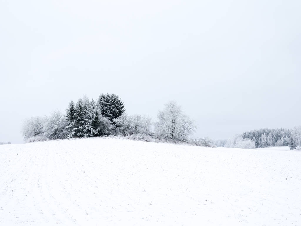 Paisaje en invierno - Foto, Imagen