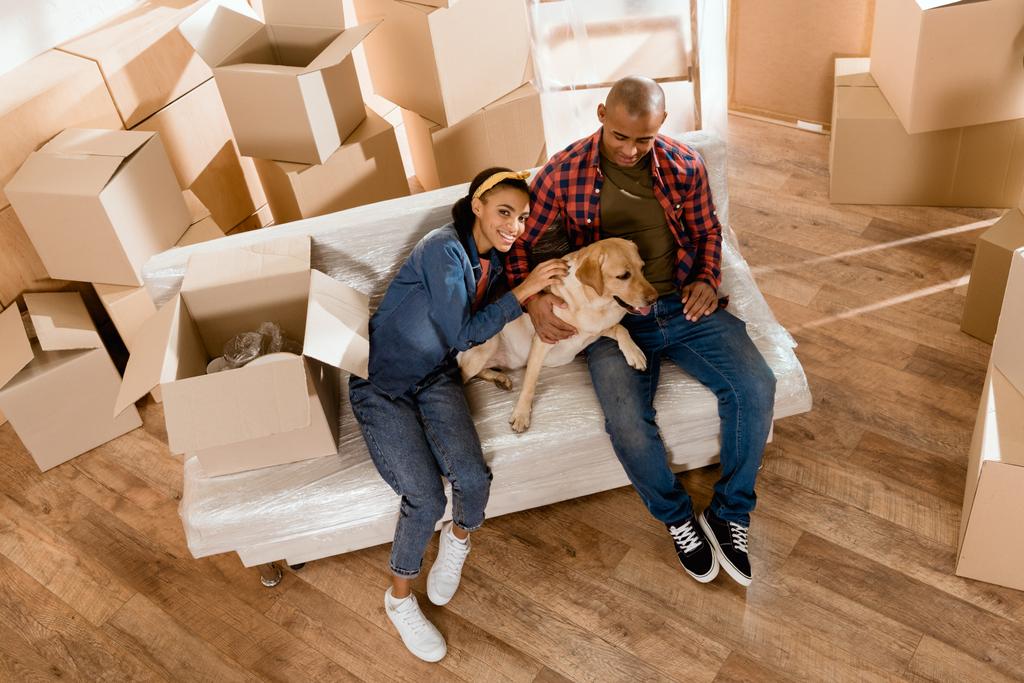 americký pár s labrador pes stěhování do nového domova - Fotografie, Obrázek
