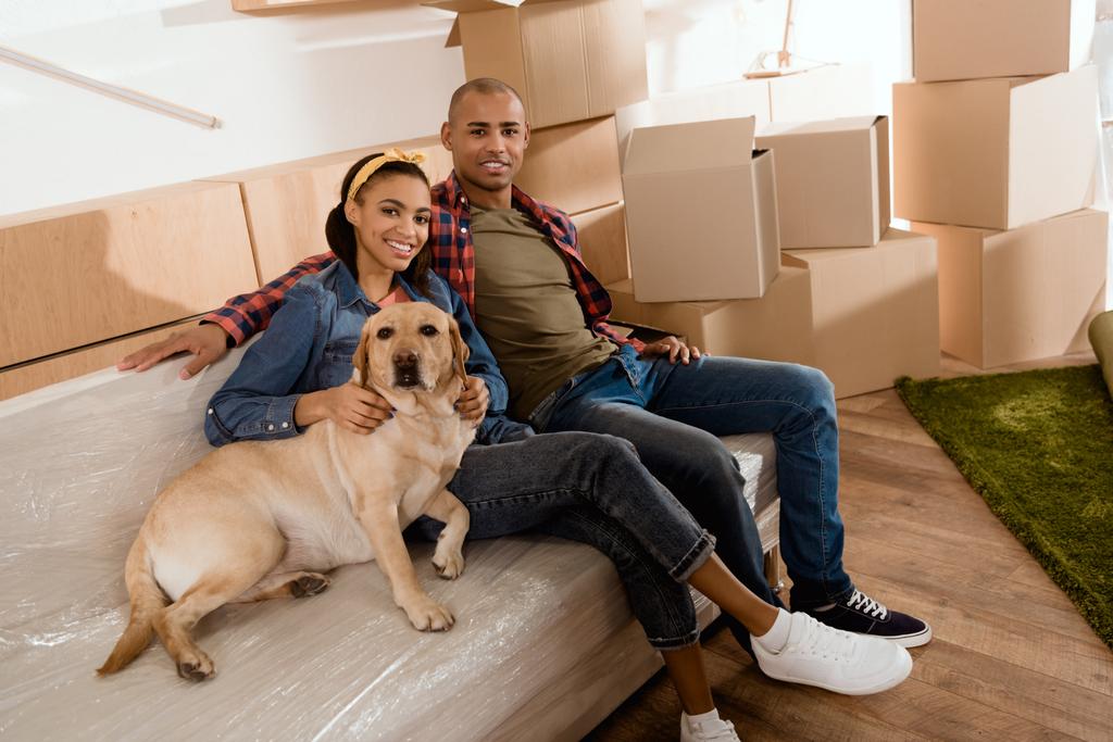 新しい家のソファで休んでラブラドール犬とアフリカ系アメリカ人のカップル - 写真・画像