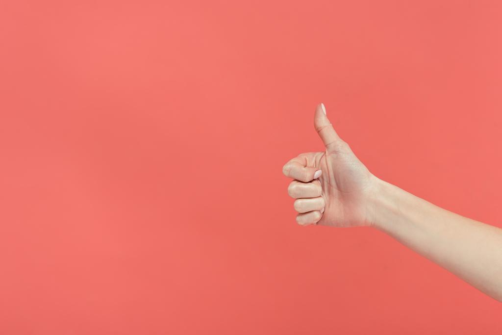 bijgesneden beeld van vrouwelijke hand tonen duim omhoog, geïsoleerde op rood - Foto, afbeelding