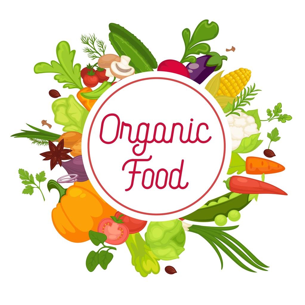 Zelenina zdravé potraviny plakát organických vegetarián, čerstvé zdravé zelí a vegetariánské jídlo. Vektor salát zelenina, koření bylinky nebo rajče a květák nebo brokolice, hrášek fazole, řepy a pepř - Vektor, obrázek
