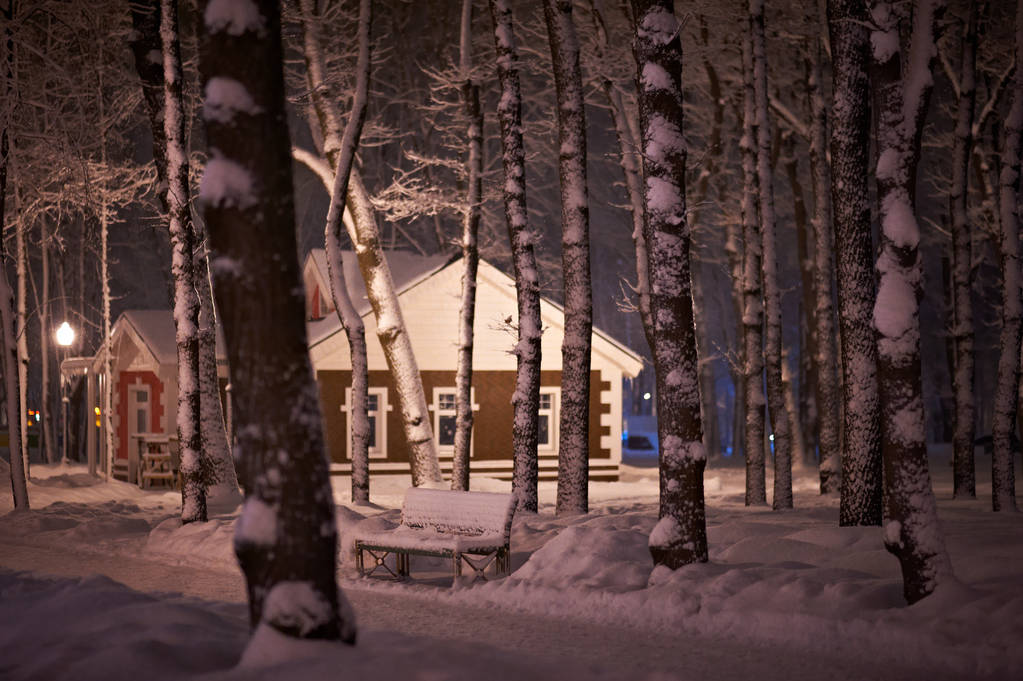 Noche de nieve de invierno Parque
 - Foto, imagen