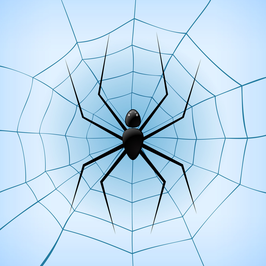 青色の背景にクモとクモの巣。ベクトル イラスト - ベクター画像