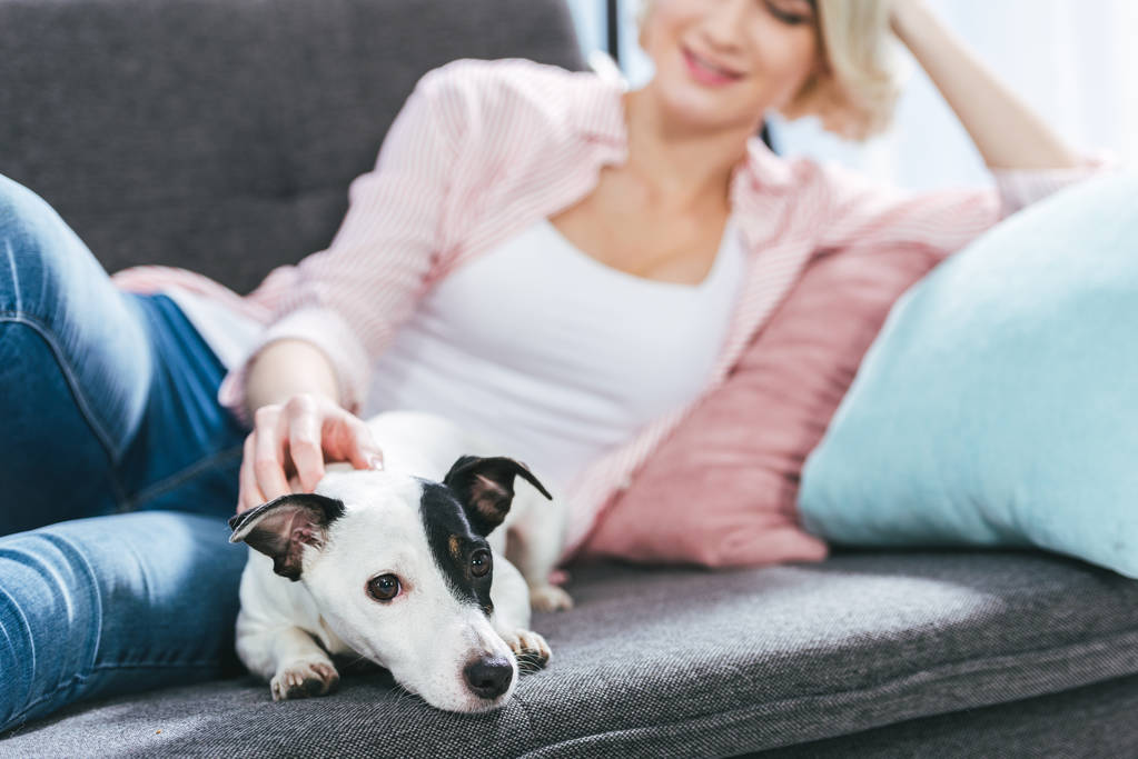 menina com jack russell terrier cão no sofá em casa
 - Foto, Imagem