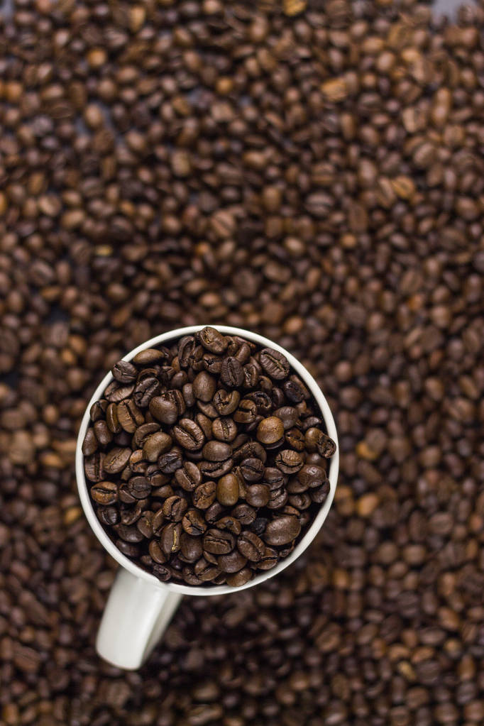 Nalil kávová zrna vyzařují voňavé vůni wakefullness a slunečné ráno - Fotografie, Obrázek