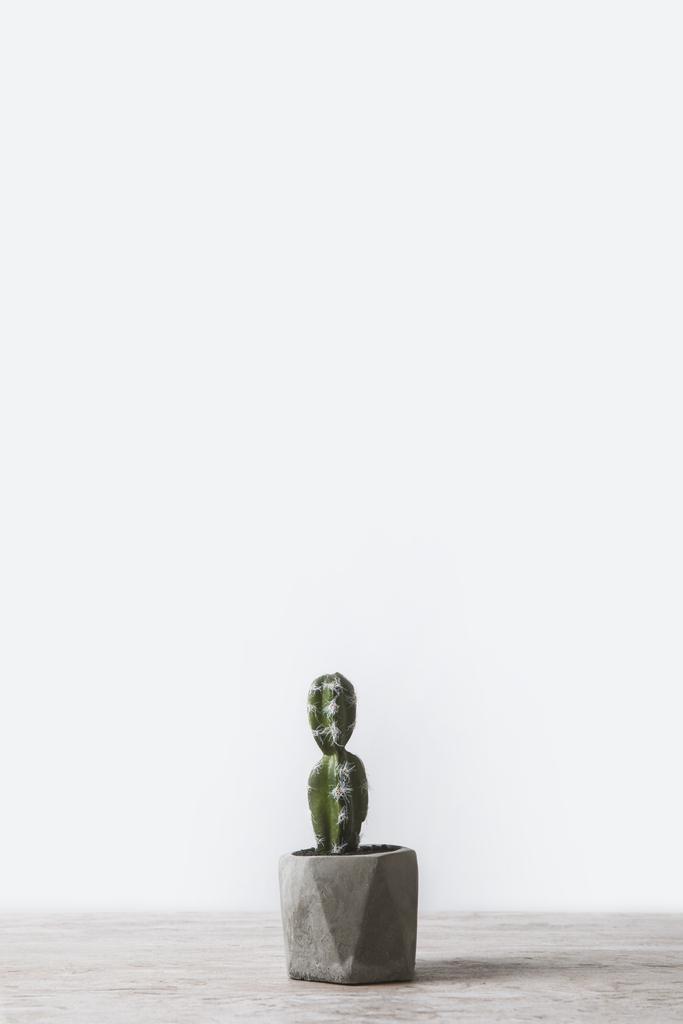 one potted cactus on marble table on white  - Photo, Image